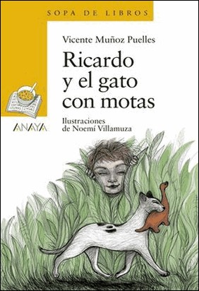 RICARDO Y GATO MOTAS de Vicente Muñoz Puelles